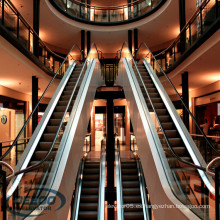 Edificio comercial comercial económico Centro comercial residencial escalera de pasajeros